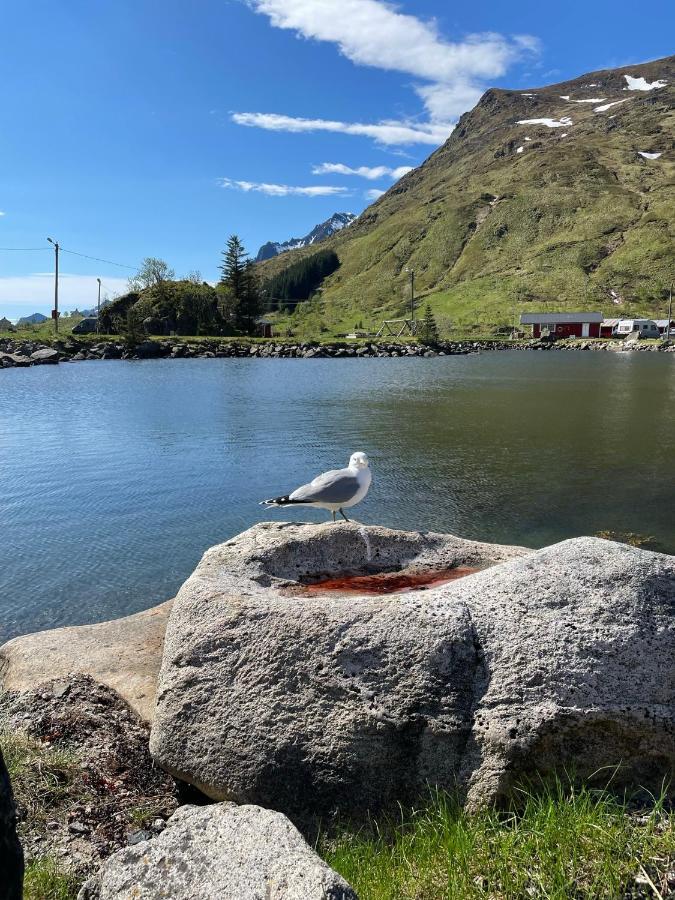 Brustranda Fjordcamping Valberg Экстерьер фото